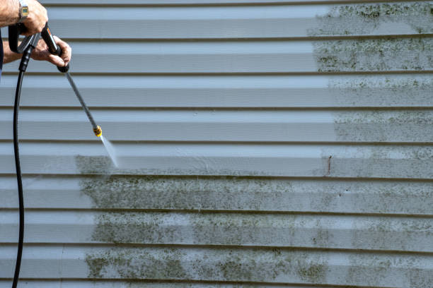 Best Wood Siding Installation  in Woodbine, GA
